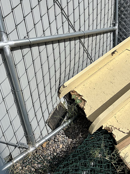 Chain Link Fence - Image 6